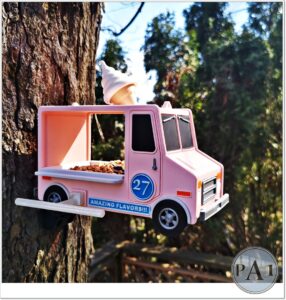 Food Truck-Ice Cream