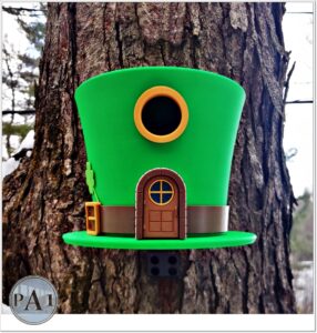 Leprechauns hat