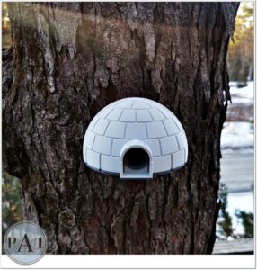 Igloo Birdhouse