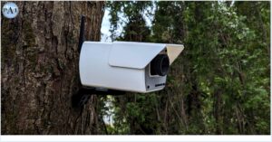 Security Camera Bird House